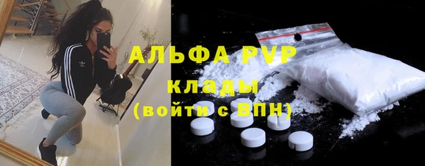 дживик Белокуриха