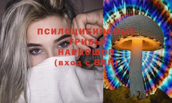 прущие грибы Беломорск