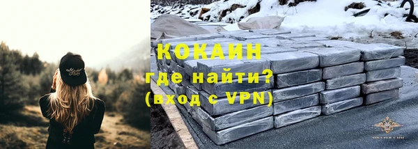 дживик Белокуриха