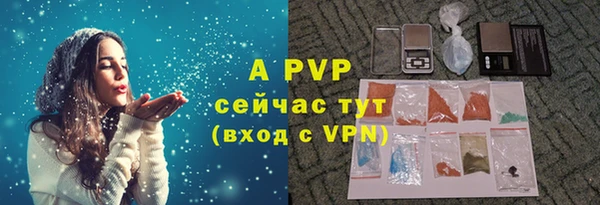 прущие грибы Беломорск