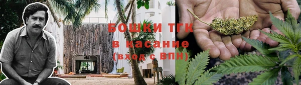 прущие грибы Беломорск