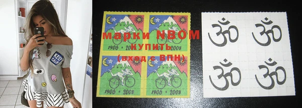 прущие грибы Беломорск