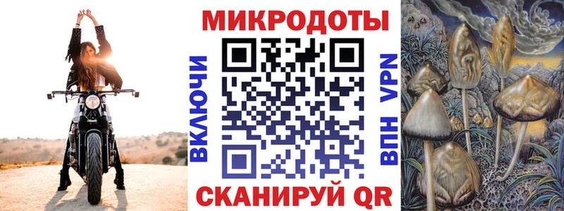 Галлюциногенные грибы прущие грибы  Топки 