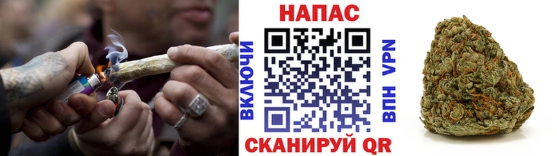 что такое   Топки  Бошки марихуана SATIVA & INDICA 